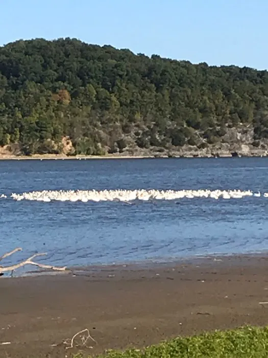Osage Hollow RV Resort LLC Picture 10