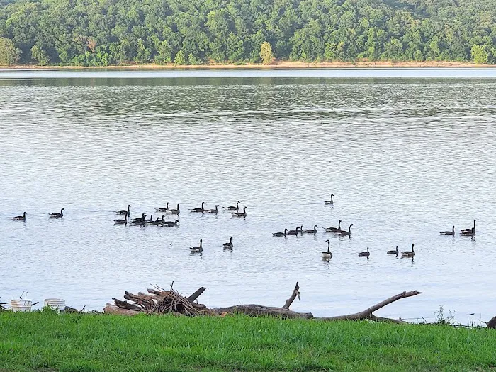 Osage Hollow RV Resort LLC Picture 8