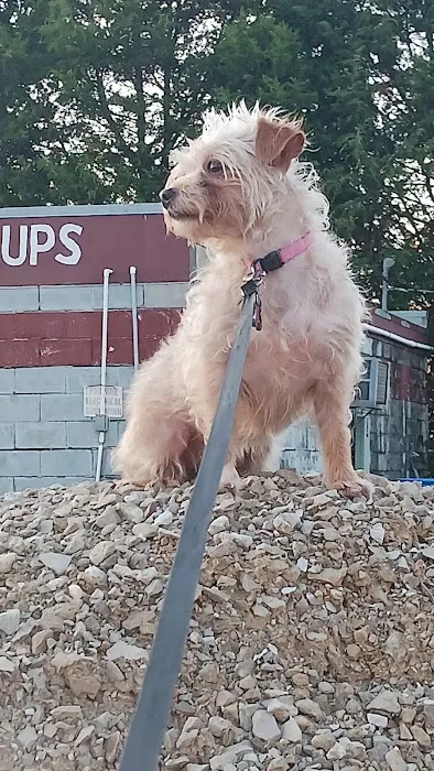 Strafford RV Park Picture 5