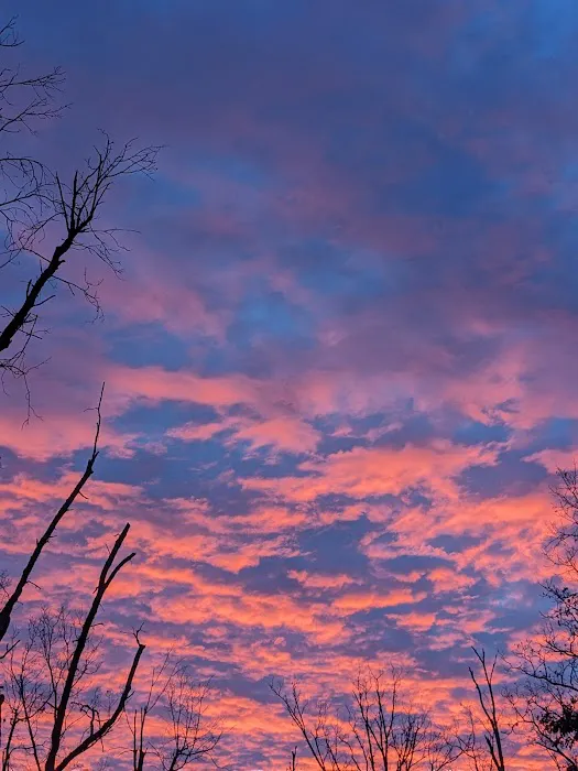 Strafford RV Park Picture 6