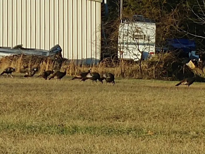 Acres of Shade Mobile Home Park Picture 10