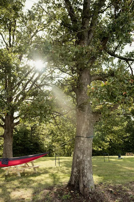 Rustic Woods RV Park Picture 7