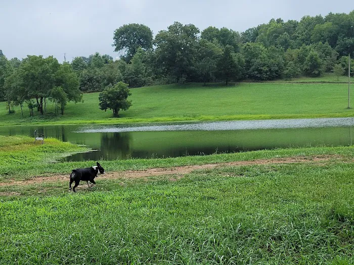 Fisherman's Paradise RV Park Picture 3