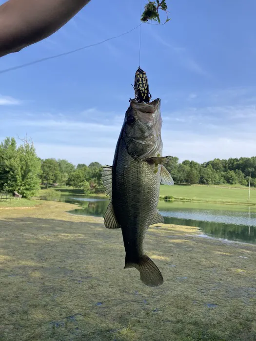 Fisherman's Paradise RV Park Picture 2