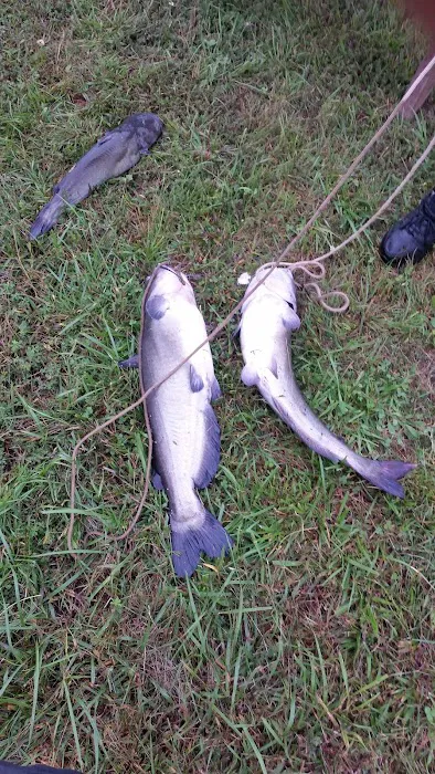 Fisherman's Paradise RV Park Picture 4