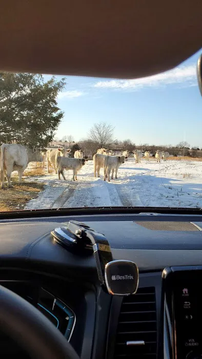 Fountain Plaza Mobile Home & RV Park Picture 3
