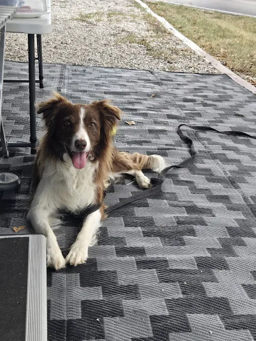 Coachlight RV Park Picture 7