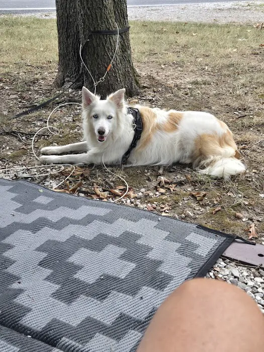 Coachlight RV Park Picture 10