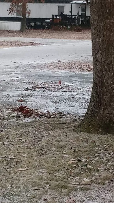 Hickory Lane Mobile Home Park Picture 2