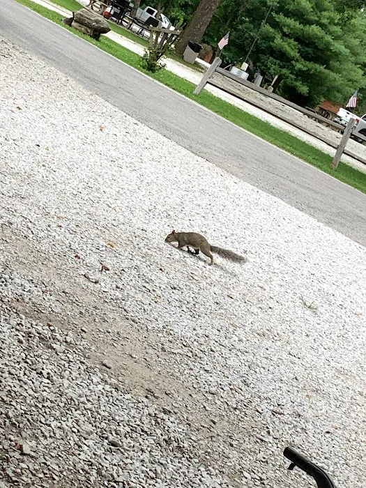 Big Red Barn RV Park Picture 2