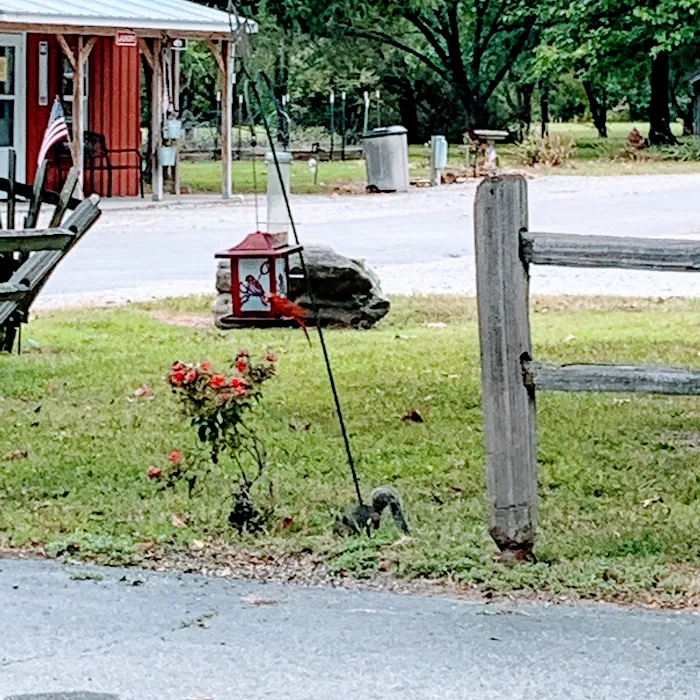 Big Red Barn RV Park Picture 10