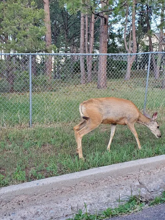 Rustic Meadows Picture 1