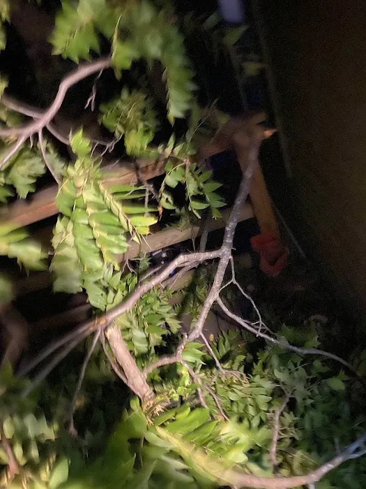 Sherwood Forest Mobile Home Community Picture 8