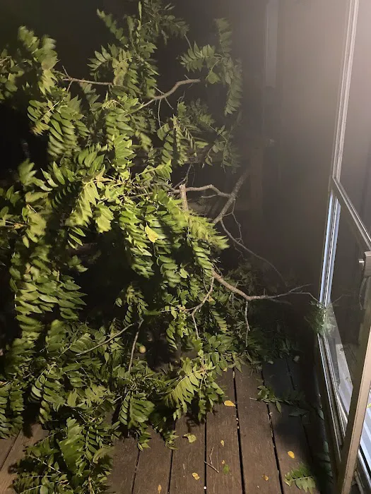 Sherwood Forest Mobile Home Community Picture 7