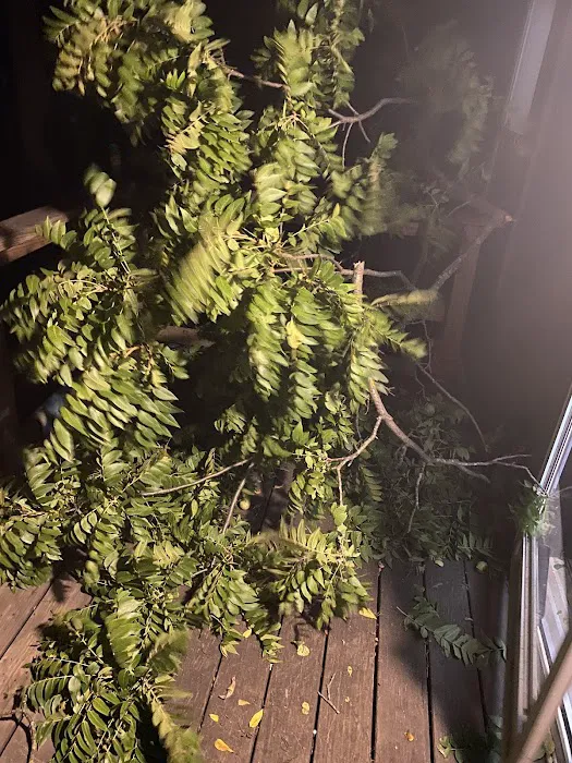 Sherwood Forest Mobile Home Community Picture 9