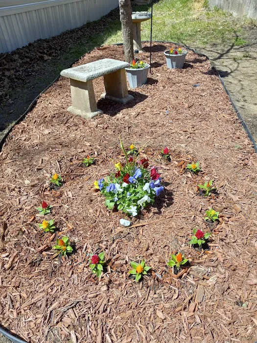 Shady Lane RV and Mobile Home Park Picture 4