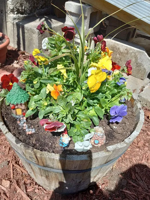 Shady Lane RV and Mobile Home Park Picture 7