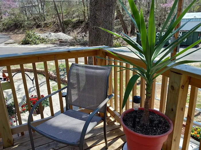 Shady Lane RV and Mobile Home Park Picture 3