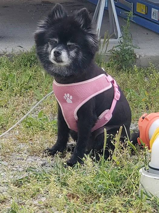 Claremore RV Park Picture 1