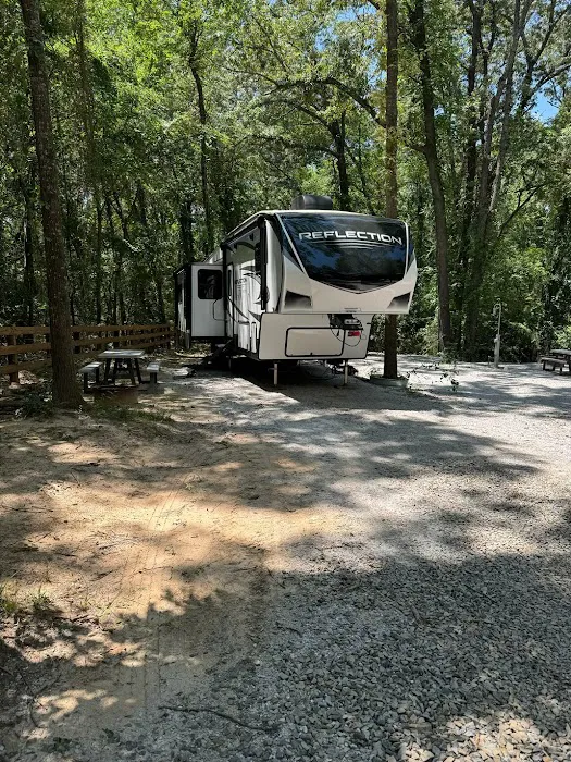 Swanny RV Park & Cabin Rentals Picture 3