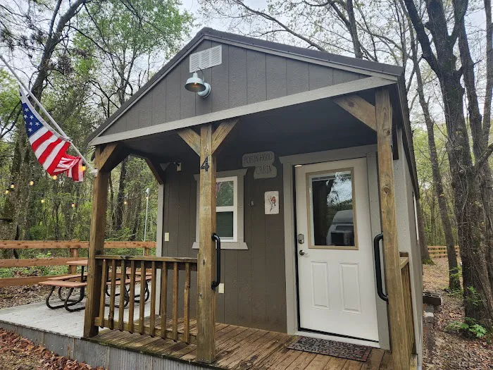 Swanny RV Park & Cabin Rentals Picture 4