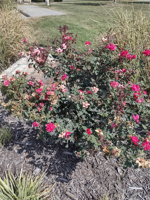 Downstream Casino RV Park Picture 6