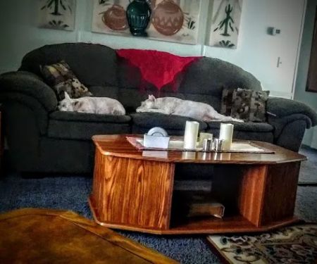 Park Plaza Mobile Estates and RV Park