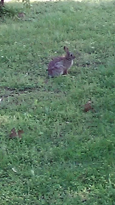 Park Plaza Mobile Estates and RV Park Picture 4