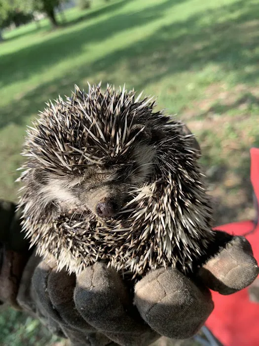 Mans-Village Mobile Home Park Picture 1