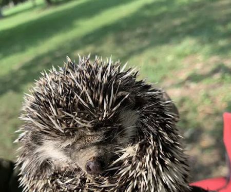 Mans-Village Mobile Home Park