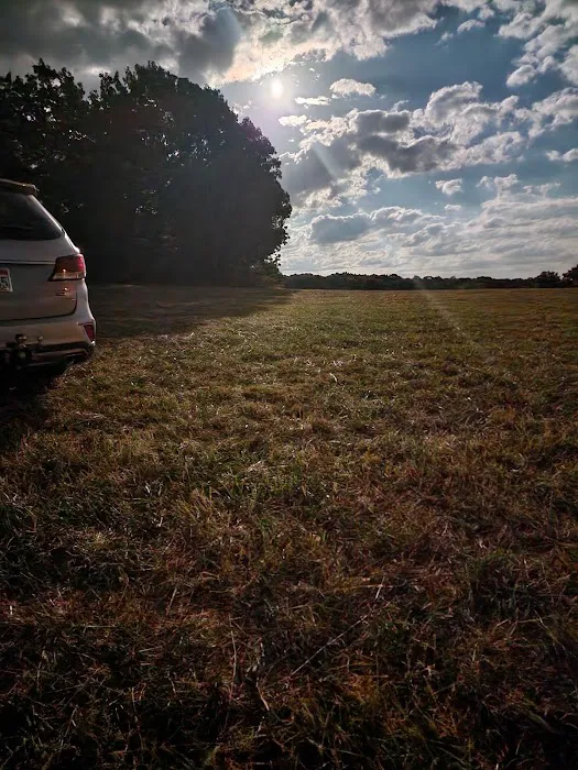 Jacques Rolling Wheels DIY Picture 1