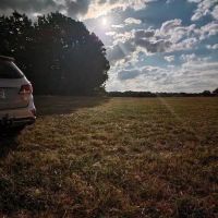 Jacques Rolling Wheels DIY ico