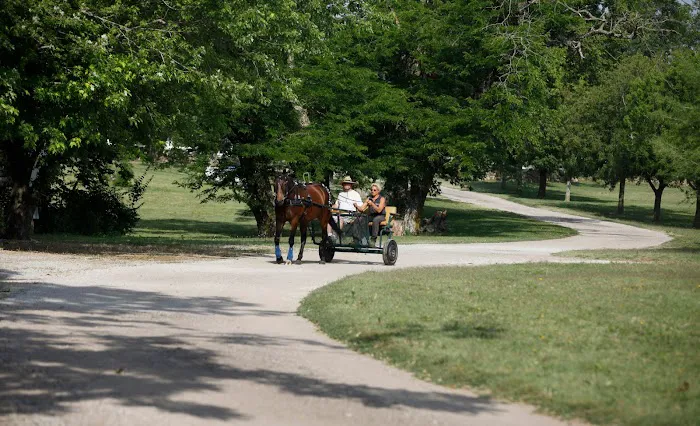 4 Mile Creek Resort - RV Park and Campground Picture 4