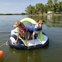 Lake Shore RV & Recreation Pk ico