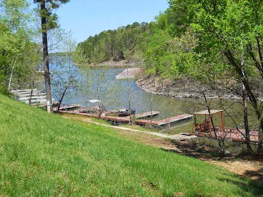 Pine Island RV Resort Picture 3