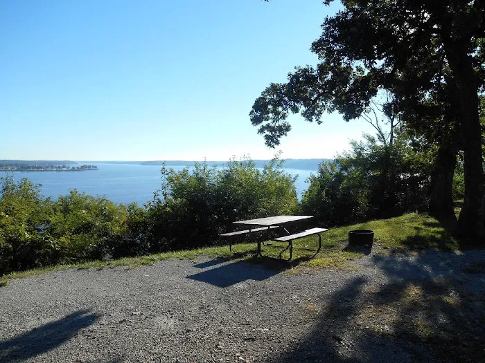 Pine Island RV Resort Picture 7