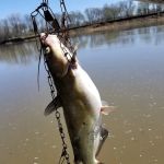 Spring River RV Park