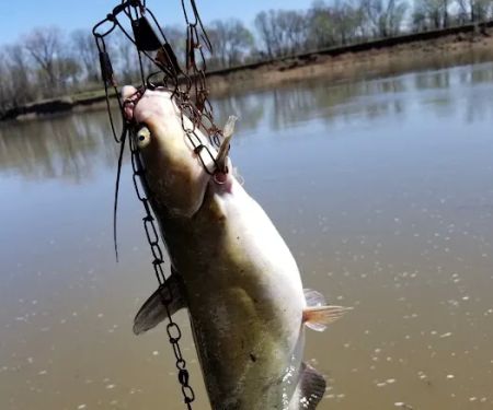 Spring River RV Park