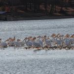 Epperson's at Hudson Bay Resort