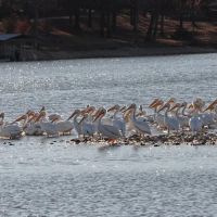 Epperson's at Hudson Bay Resort ico