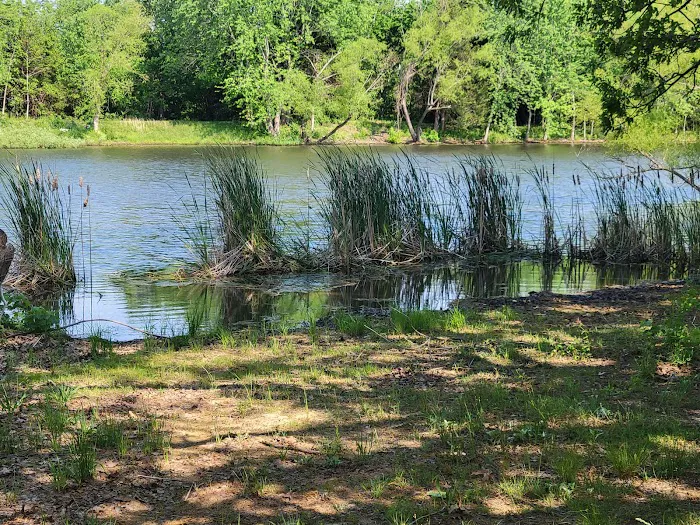 Rustic Trails RV Park Picture 3