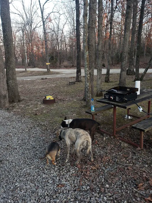 Rustic Trails RV Park Picture 9