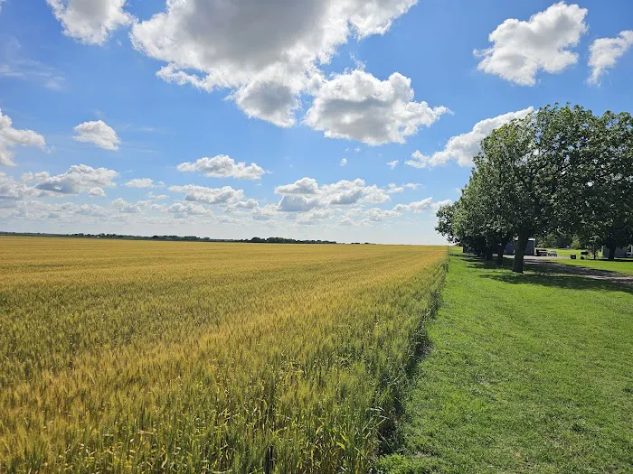 Oak Leaf RV Park Picture 6