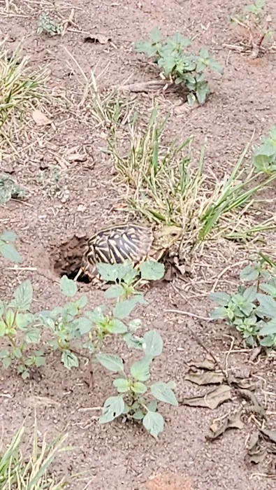 Oak Leaf RV Park Picture 8