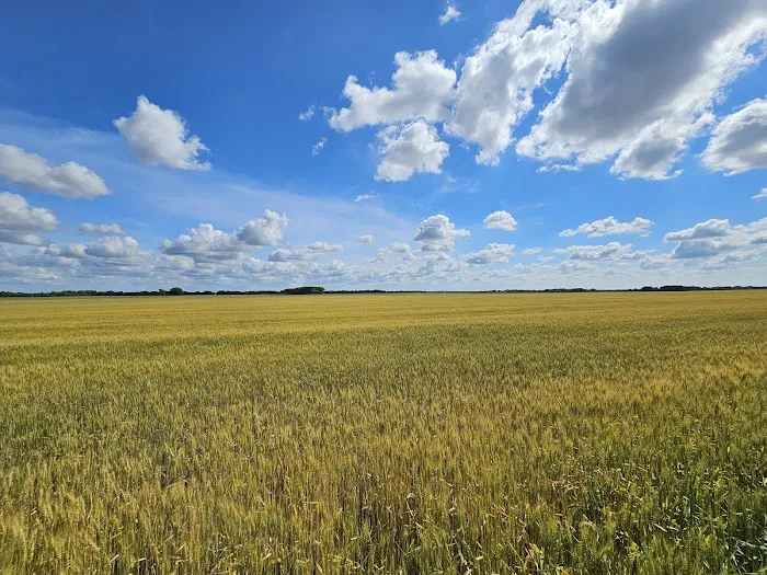 Oak Leaf RV Park Picture 9