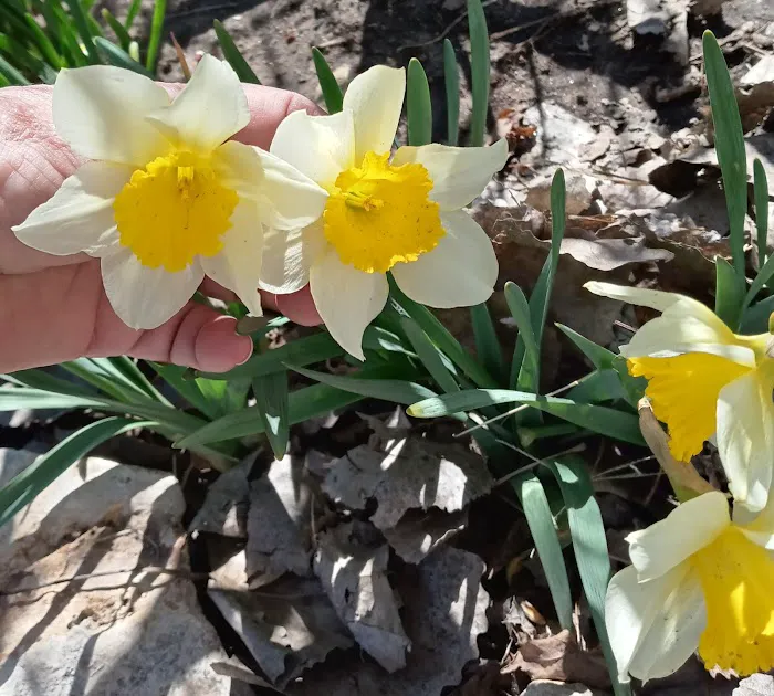 Lakeside Landing Picture 8