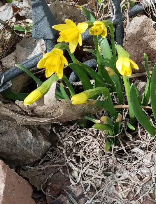 Lakeside Landing Picture 9