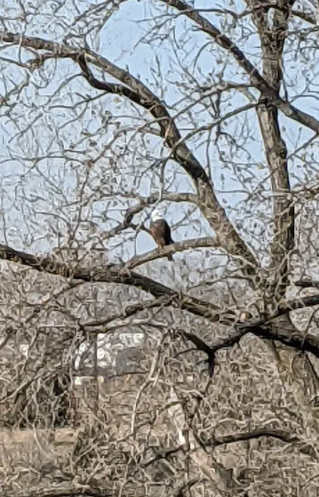 Lakeside Landing Picture 6