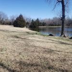 Mitchell Manor Sales