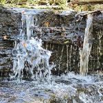 Bleudon Forest RV Resort